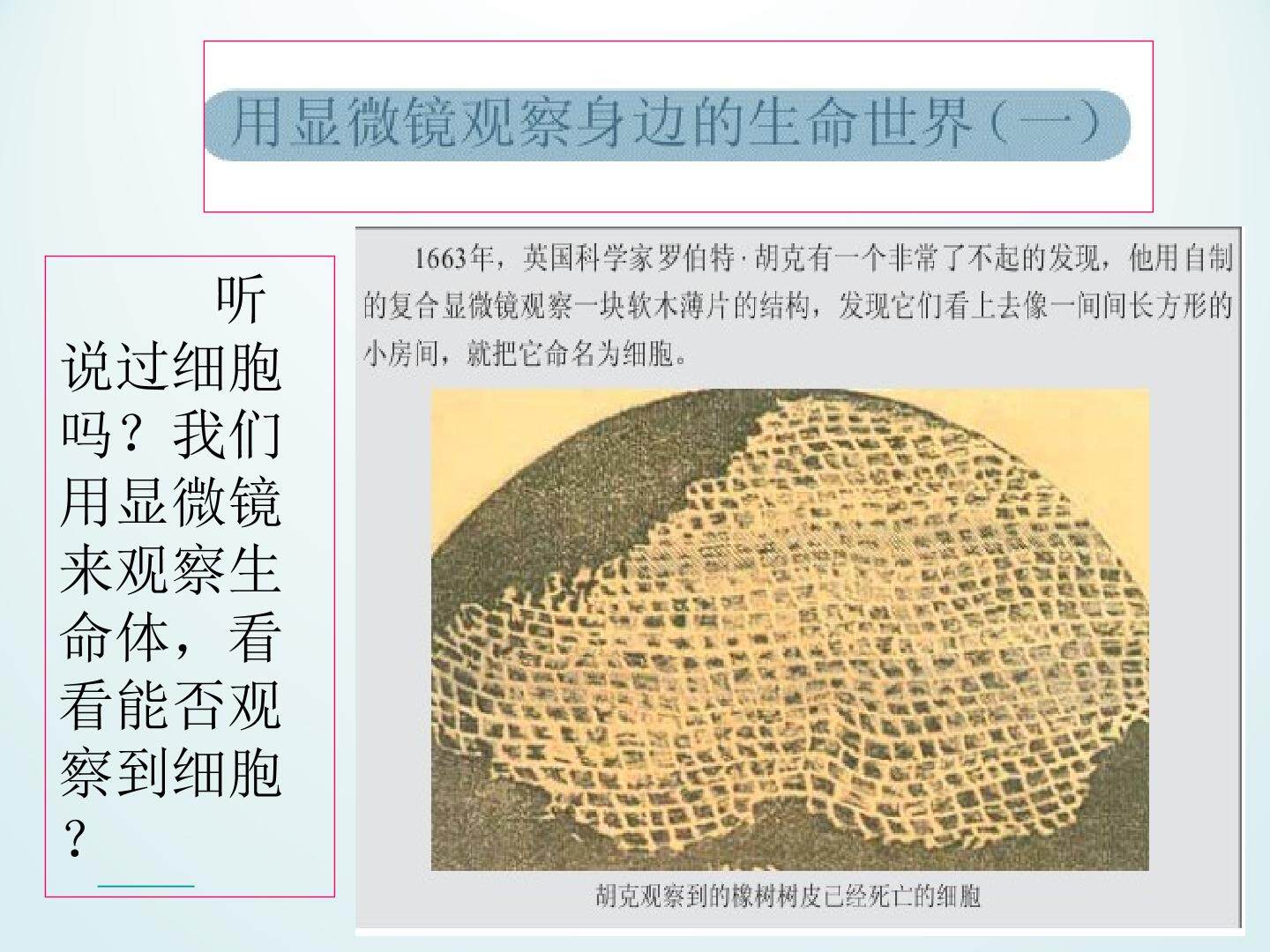 用显微镜观察身边的生命世界（一）_课件1