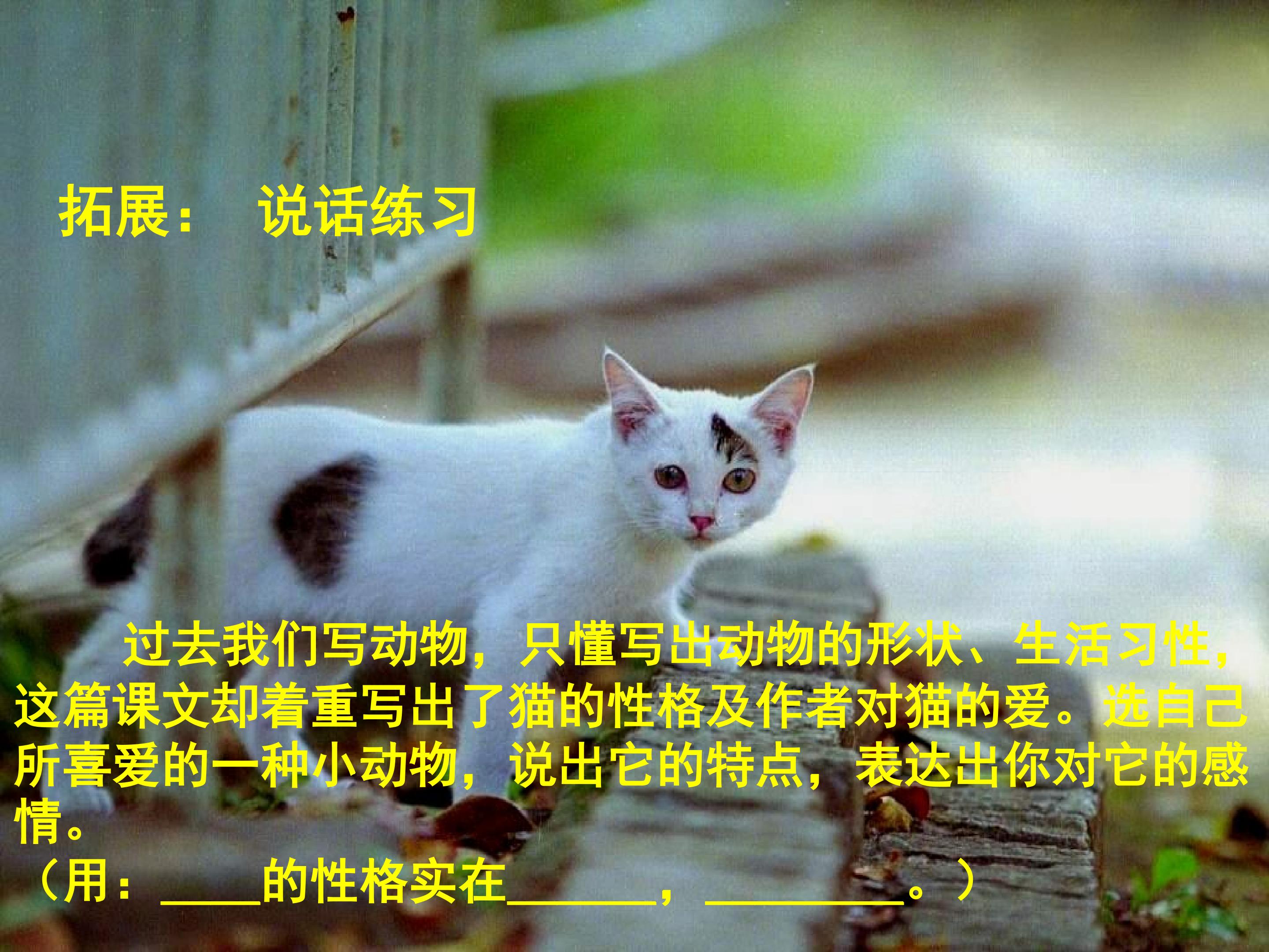 32.jpg
