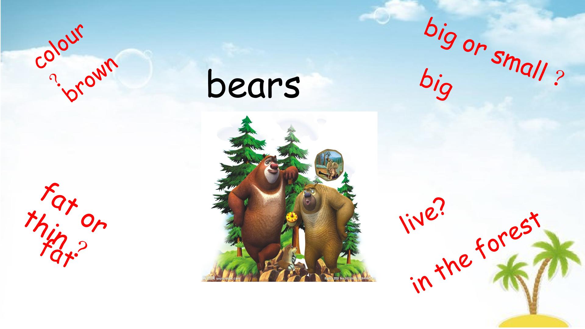 25.jpg