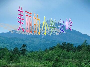 23 美丽的小兴安岭