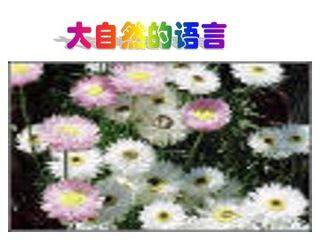 大自然的语言_课件6