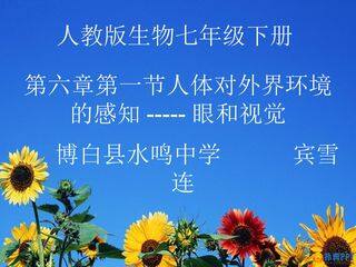 眼和视觉