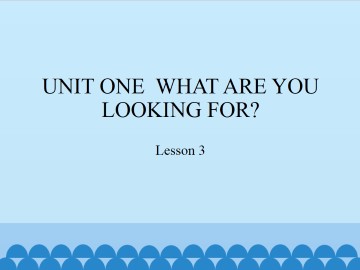 UNIT ONE  WHAT ARE YOU LOOKING FOR?-Lesson 3_课件1