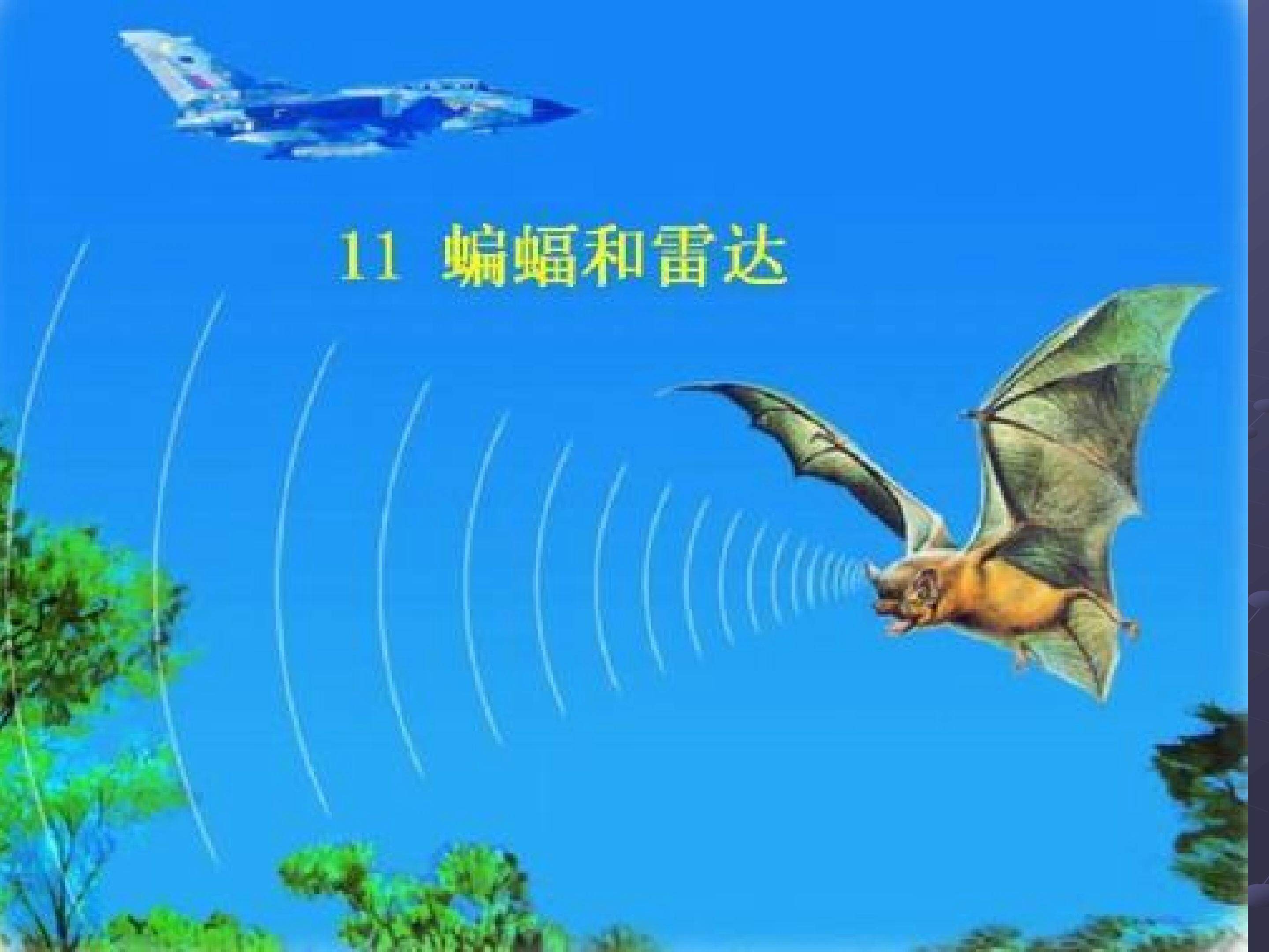 《蝙蝠和雷达》