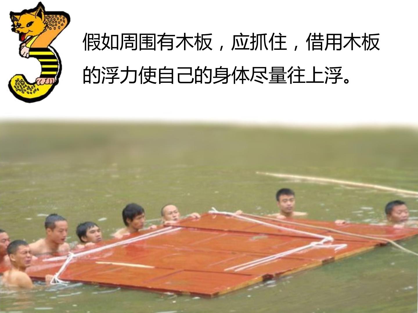 40.jpg