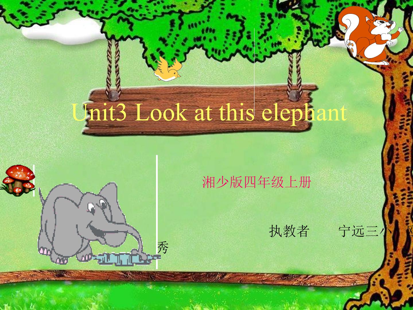 Look at the elephant.