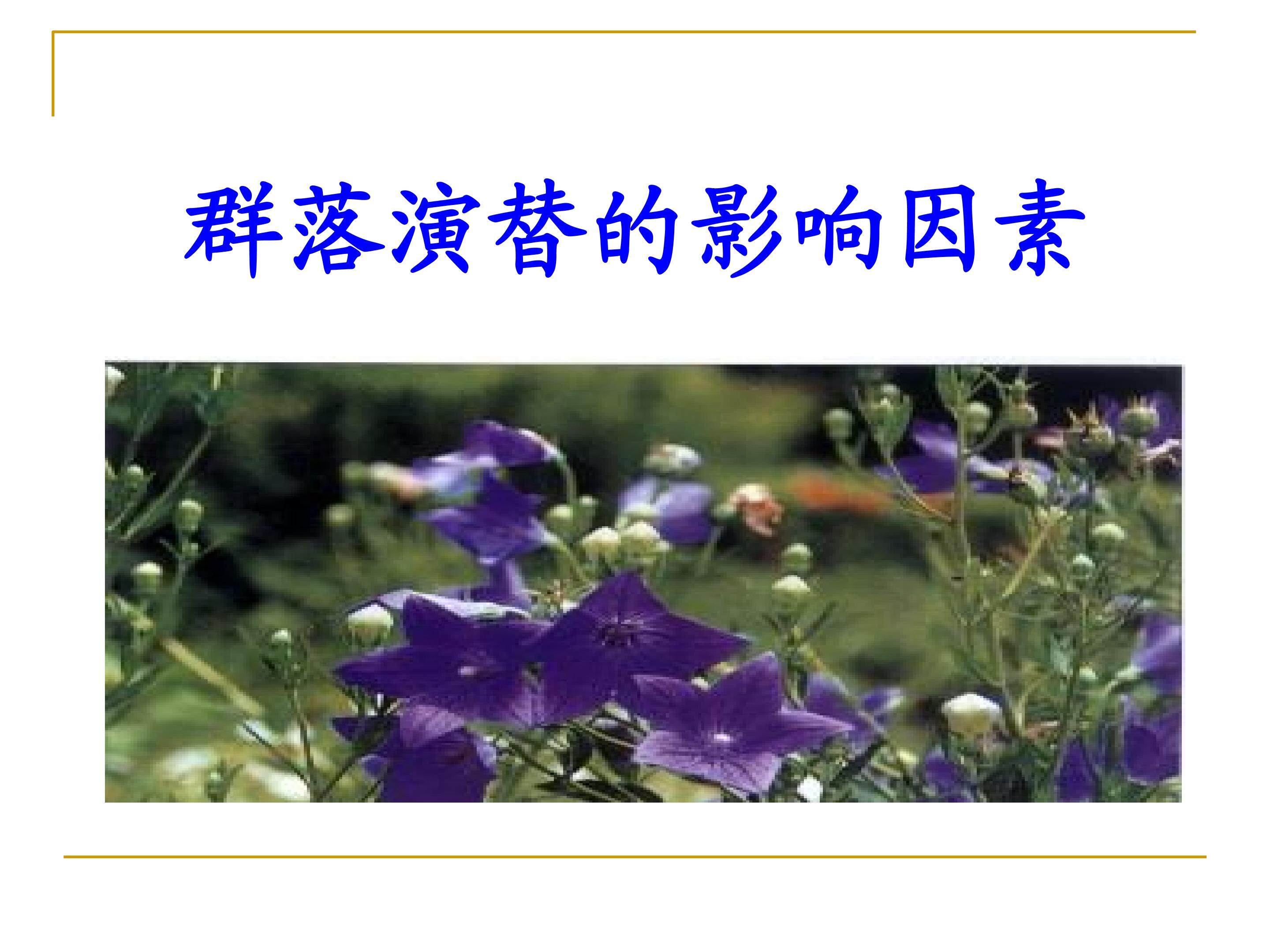 群落演替的影响因素_课件1