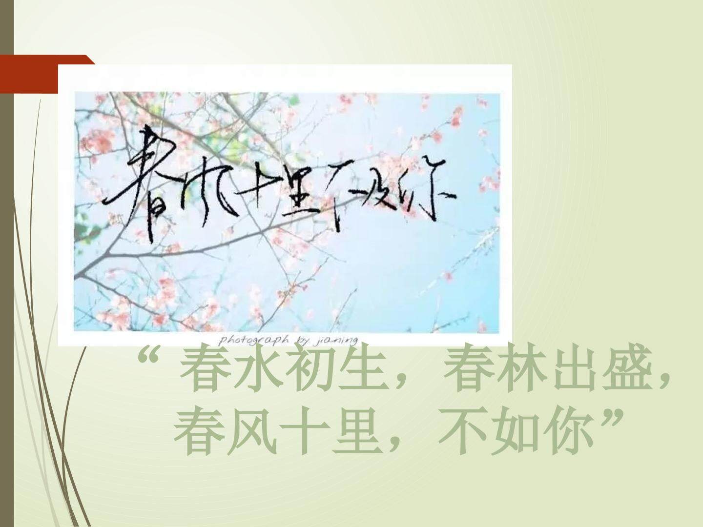 我的一棵小桃树