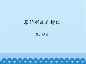 尿的形成和排出-第二课时_课件1
