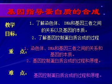 生物高中必修2第四章第一节课件4