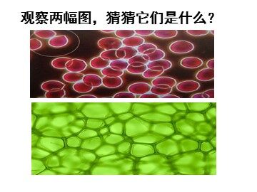 第二节 分子的立体构型