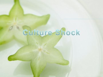 Culture Shock_课件2
