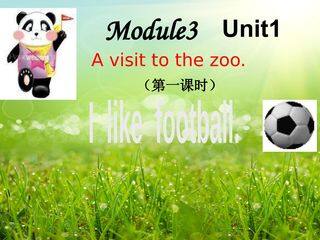 【茂名】Module 3 Unit 1 (第一课时)I  like football