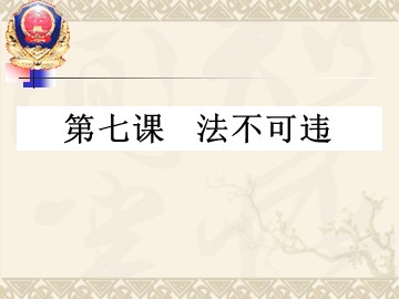 思想品德七年级下册第四单元第七课第二框的教学课件1