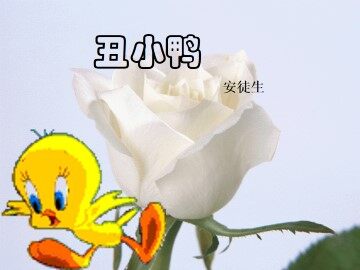 丑小鸭_课件20
