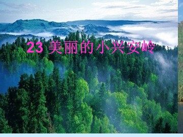 23 美丽的小兴安岭