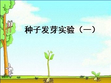 《种子发芽实验（一）》课件2