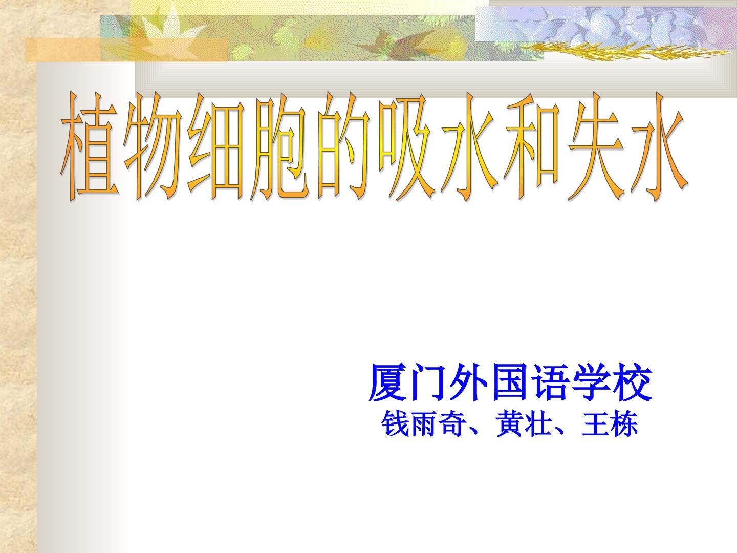 萝卜