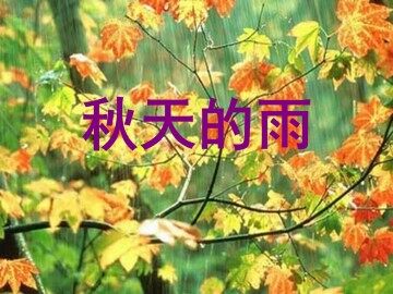 秋天的雨_课件1