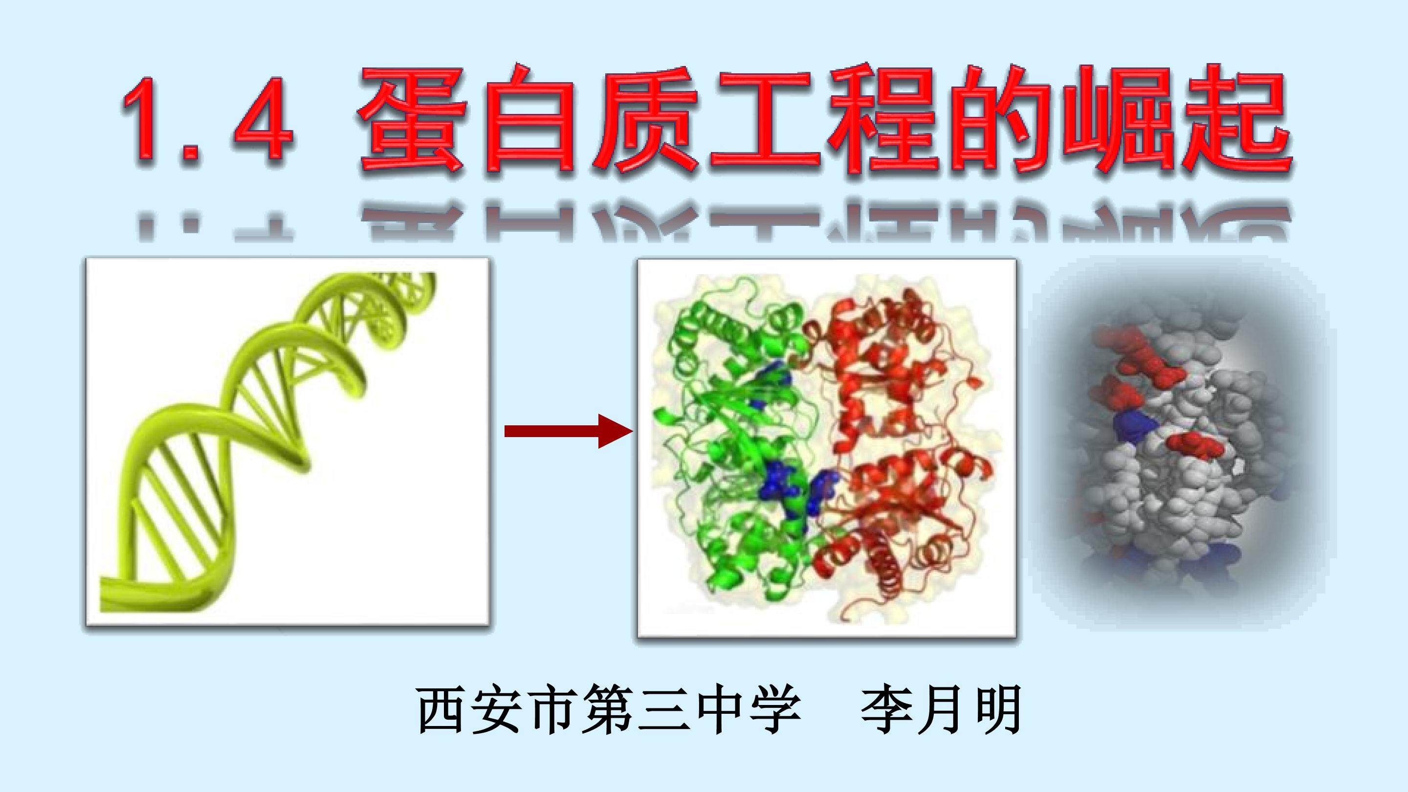 《蛋白质工程的崛起》教学课件