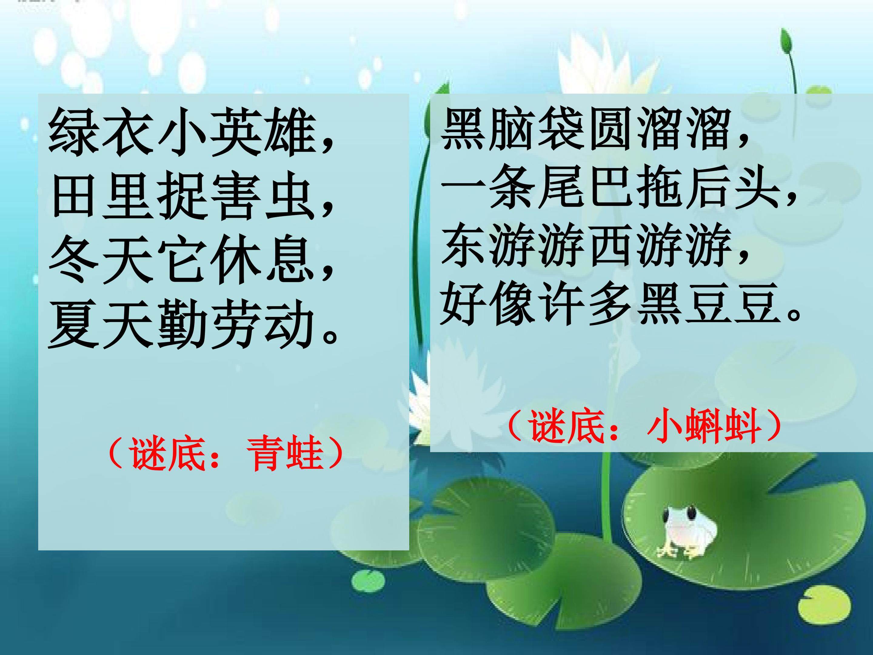 《1.小蝌蚪找妈妈》第一课时课件