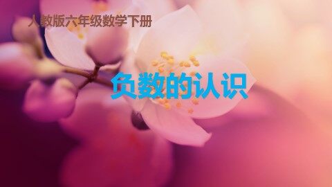 1 负数