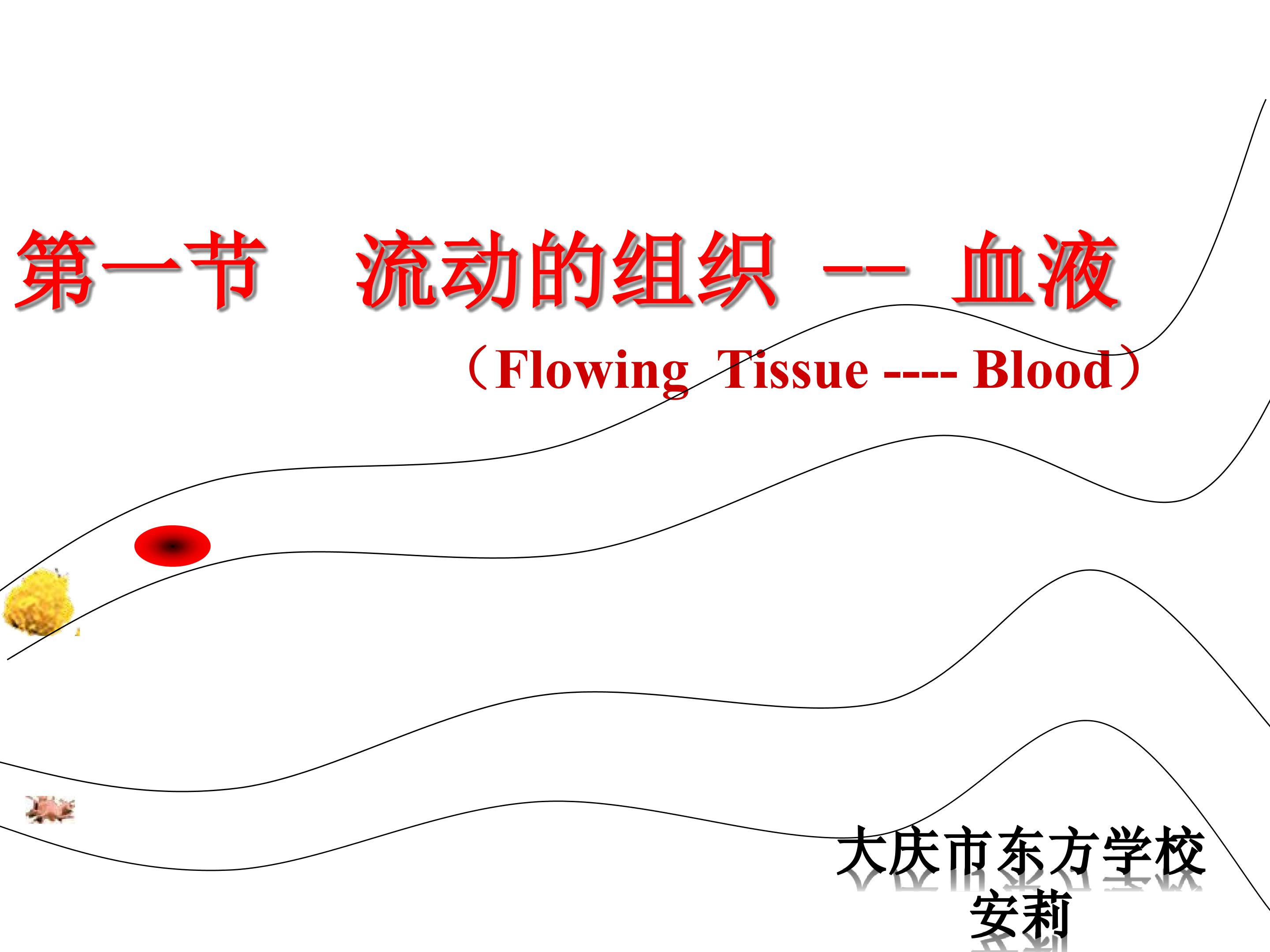 流动的组织-血液