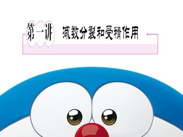 一  减数分裂