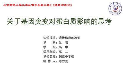 关于基因突变对蛋白质影响的思考(自学课件)