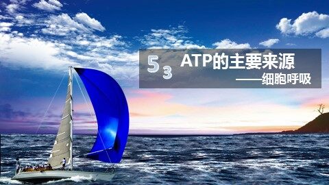 第3节  ATP的主要来源——细胞呼吸