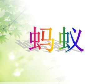 2 动物的身体和运动