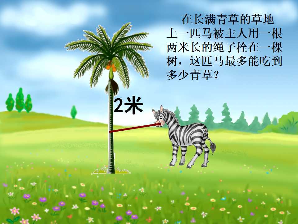 117.jpg