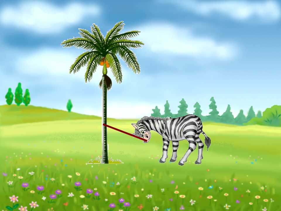 25.jpg
