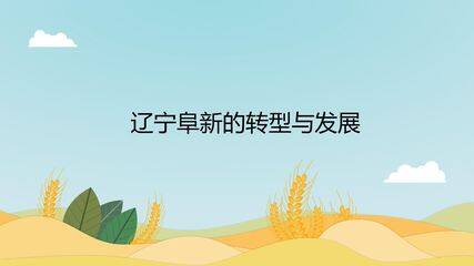 辽宁阜新的转型与发展