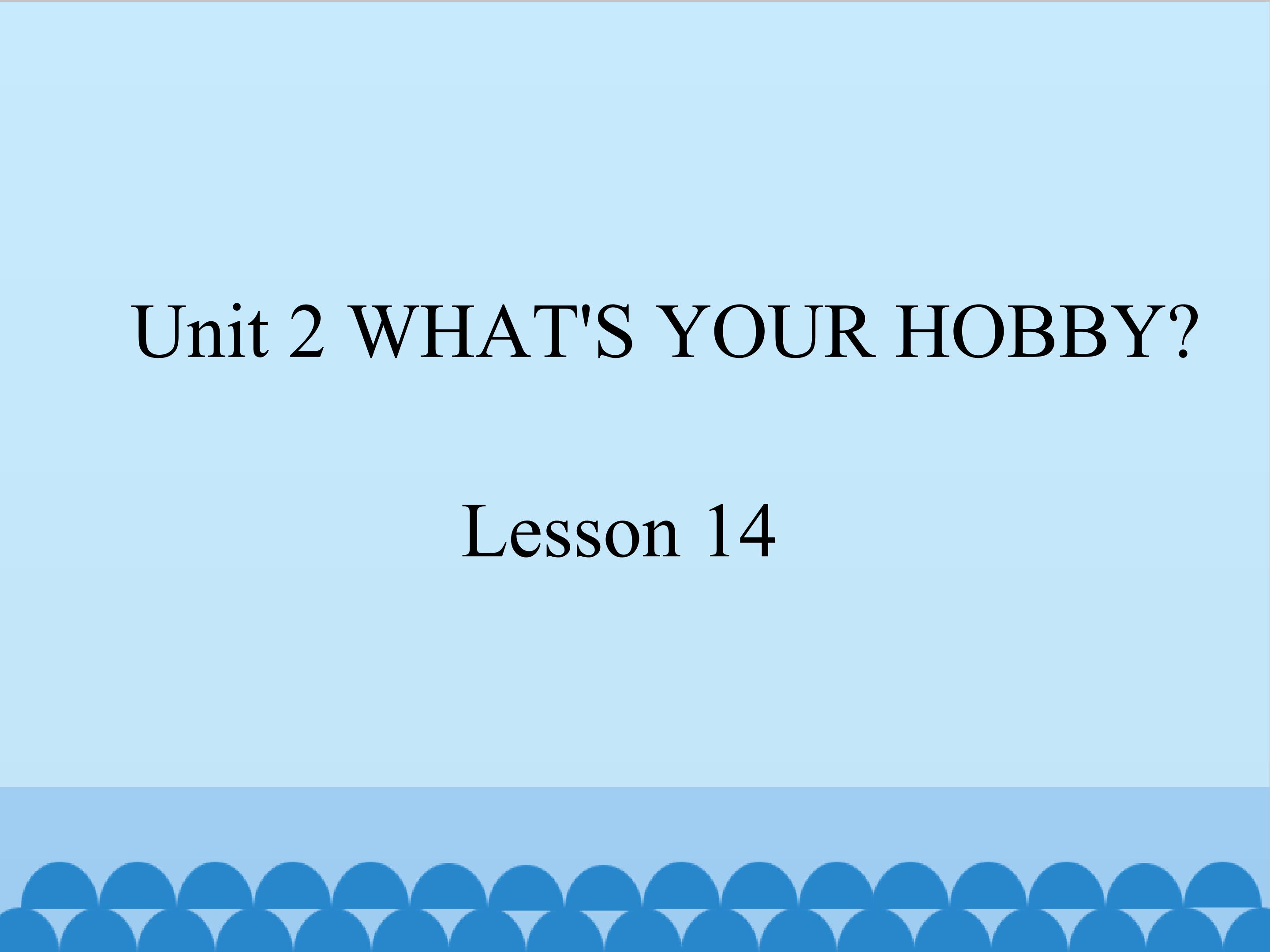 what's your hobby lesson 14_课件1