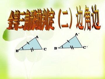 信息技术应用   探究三角形全等的条件