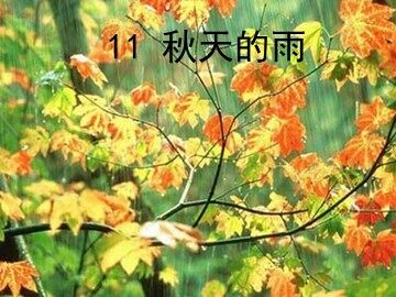 11 秋天的雨