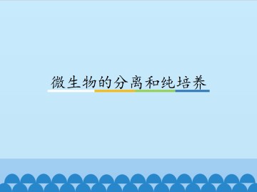 微生物的分离和纯培养_课件1