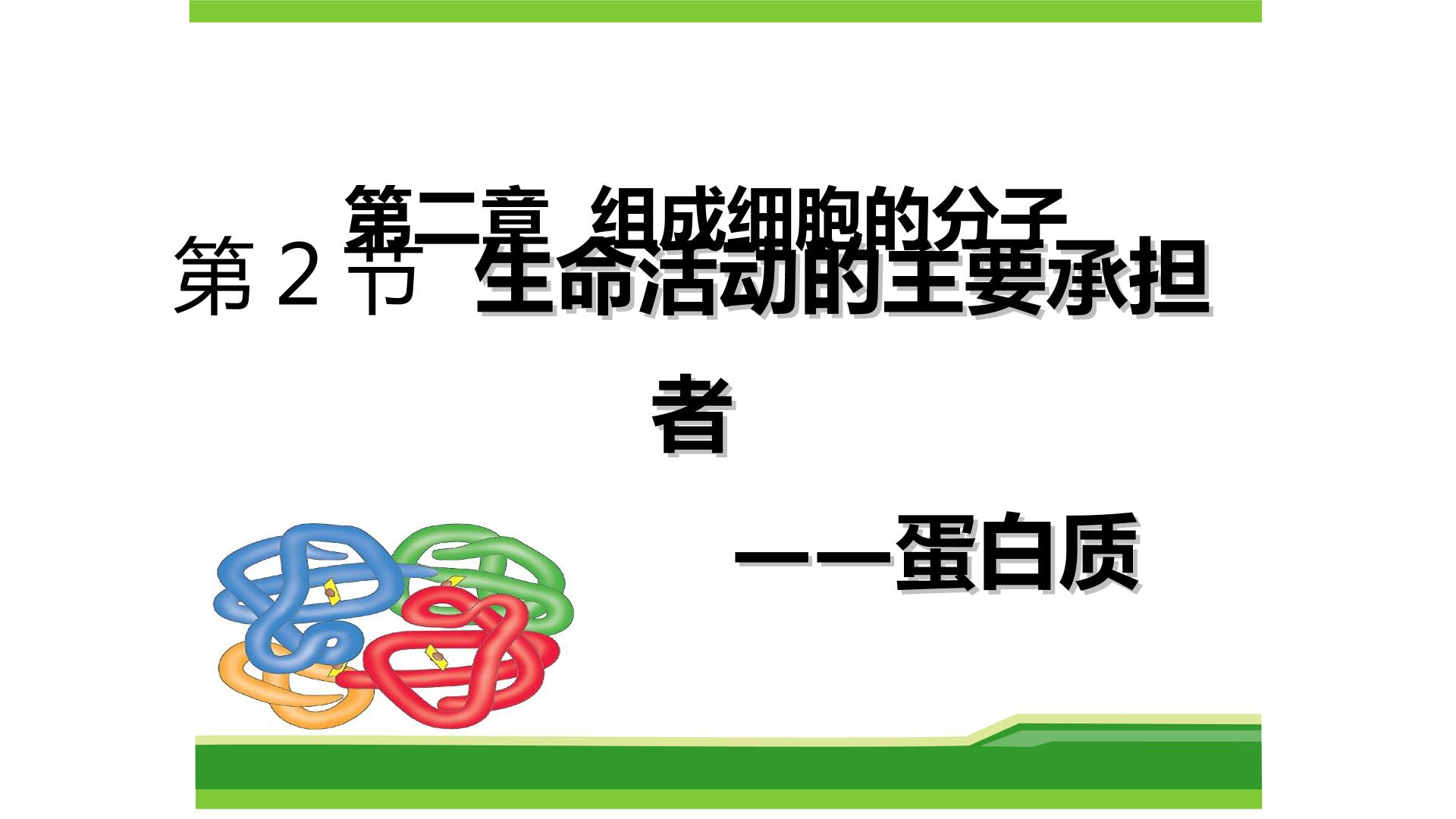 生命活动的承担者——蛋白质