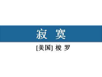 寂寞_课件1