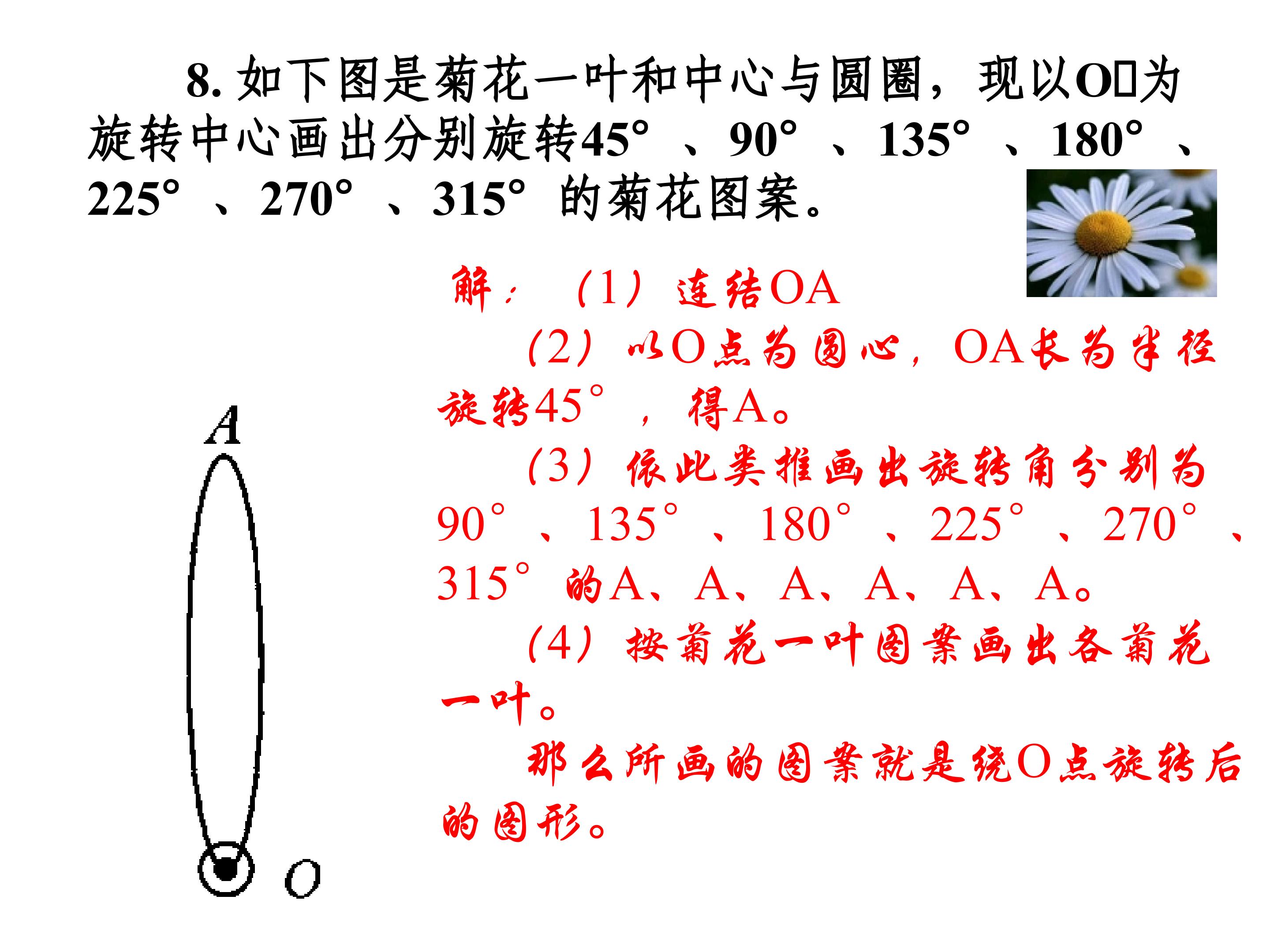 49.jpg