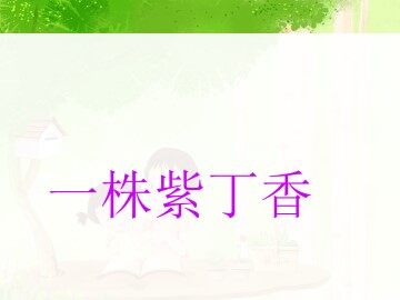 一株紫丁香_课件1
