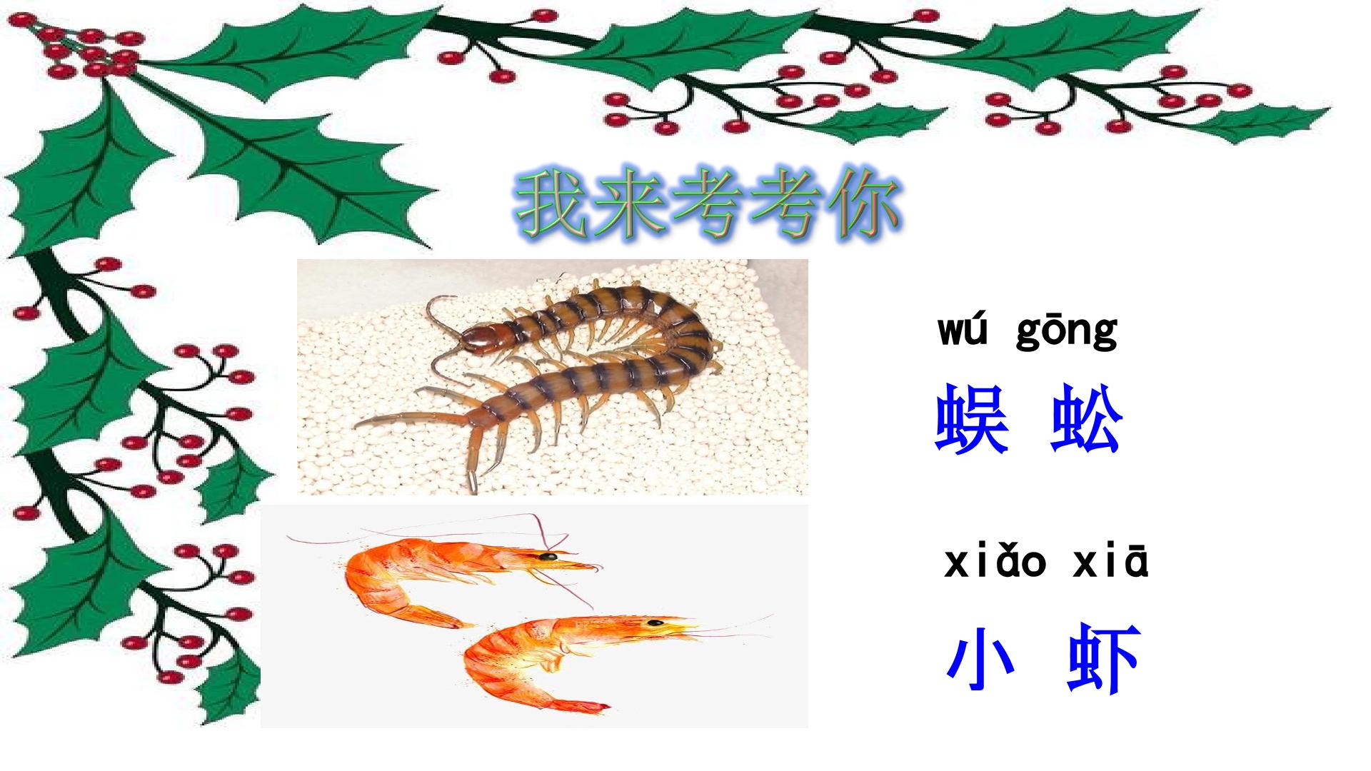 17.jpg
