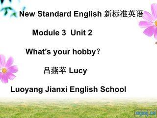 M3 U2 What's your hobby?