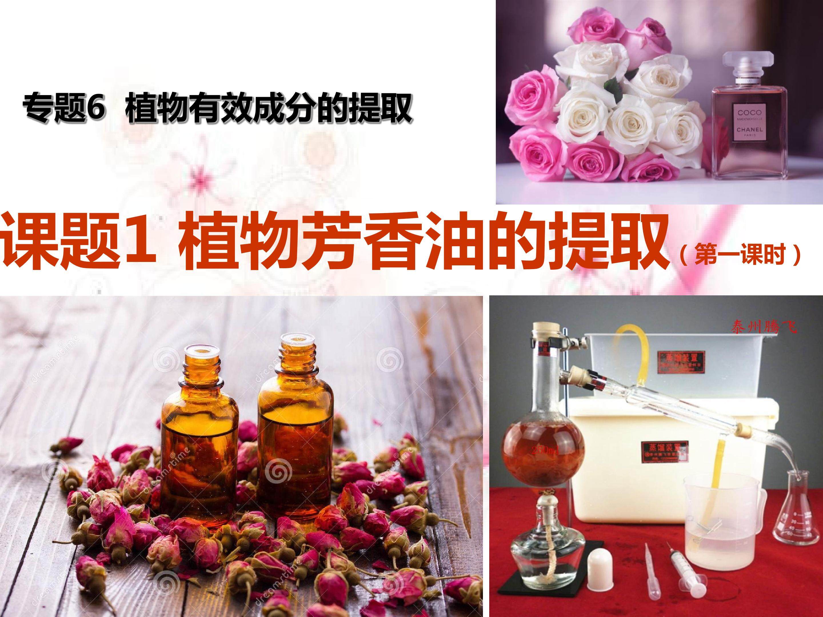 专题6课题1植物芳香油的提取制取