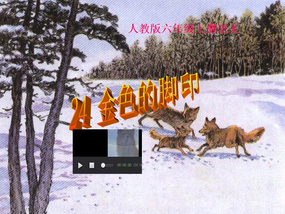 24* 金色的脚印 