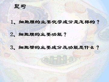 生物高中必修1第三章第二节课件3