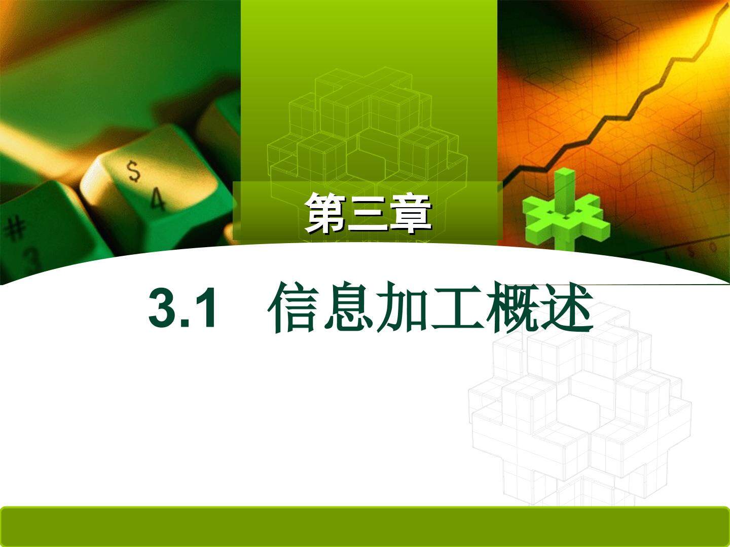 3.1.1 信息加工的过程和方式