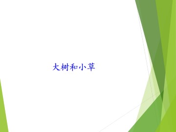 大树和小草_课件1