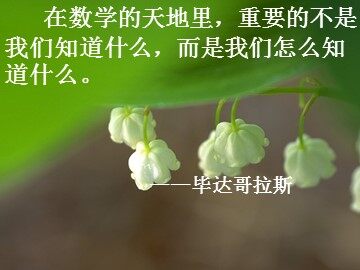 数学活动